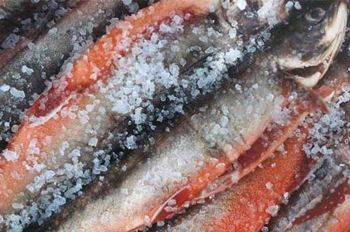 Các loại thực phẩm mẹ không nên cho trẻ ăn nhiều kẻo hại thận