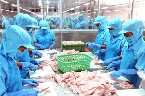 Xuất khẩu thủy sản vào EU: Cần giải “bài toán” tiêu chuẩn