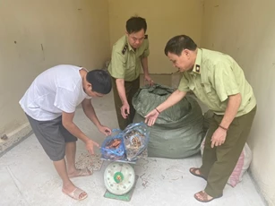 Lạng Sơn: Xử lý hàng trăm kg thuốc bắc, nguyên liệu thuốc bắc không rõ nguồn gốc