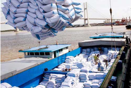 Gạo Việt tiếp tục bức tốc tiến vào EU nhờ EVFTA