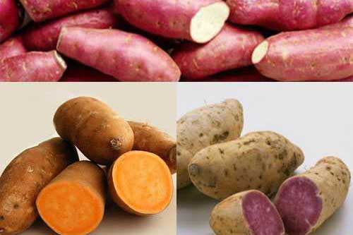 Chuyên gia sức khỏe chỉ đích danh thực phẩm ngừa ung thư vô cùng hiệu quả ở Việt Nam có đầy