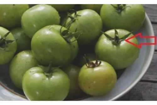 Các bộ phận cực độc của rau củ, ăn một miếng không khéo ngộ độc