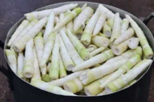 Đậy vung nồi khi nấu măng - sai lầm tai hại khiến món ăn thêm độc, gây hại cho cả nhà