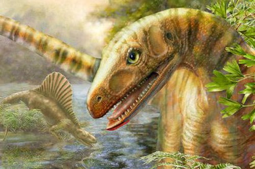Tìm thấy hóa thạch động vật có họ với khủng long