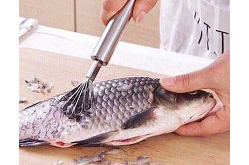 'Sát thủ của ung thư' nhưng nhà nào cũng đang thờ ơ vứt bỏ