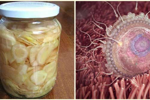 Loại củ mọc đầy sau vườn là bậc thầy tăng chất lượng ''tinh binh'', "đẩy lùi" cả loại ung thư hiểm nghèo