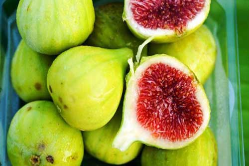 Tác dụng chữa bệnh thần kì của quả sung