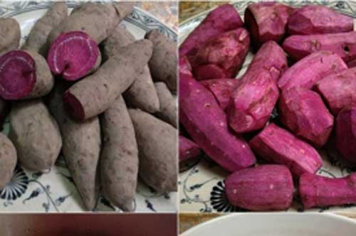 Những điều bắt buộc phải biết khi ăn khoai lang