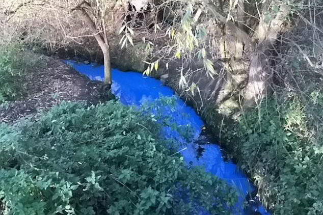 Sắc xanh bí ẩn của dòng Ouse ở Anh đang khiến nhiều nhà khoa học đau đầu