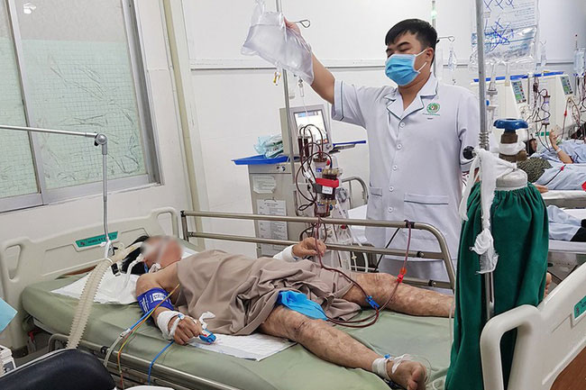 Ăn cá mặt thỏ, người đàn ông 40 tuổi hôn mê, tê liệt hoàn toàn