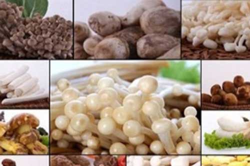 7 lợi ích tuyệt vời của nấm với phụ nữ mang thai