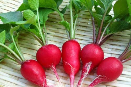 Những loại củ rẻ bèo nhưng cực kỳ tốt cho sức khỏe