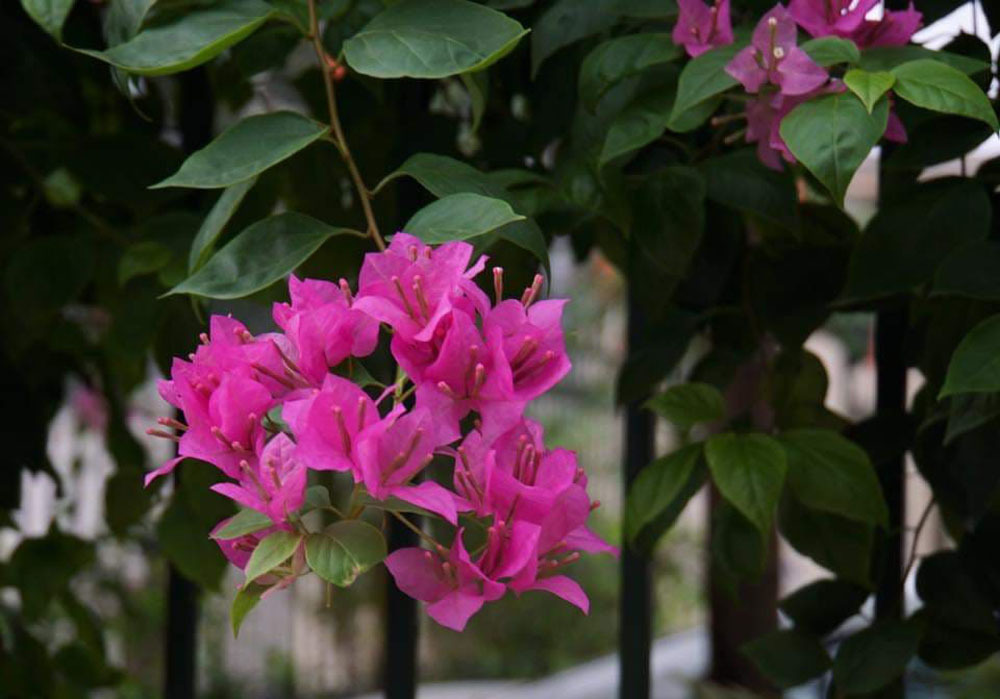 Tâm sự của cô gái chê người yêu nghèo, thu nhập 10 triệu/tháng không đủ làm đám cưới