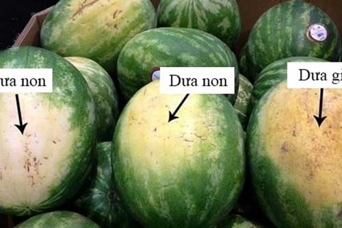 Tuyệt chiêu chọn dưa hấu đỏ, ngọt chỉ cần nhìn duy nhất điểm này