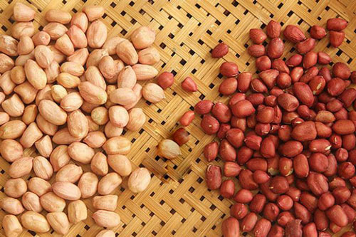 Mua lạc, nên chọn hạt đỏ hay trắng? Sự thật có thể gây bất ngờ