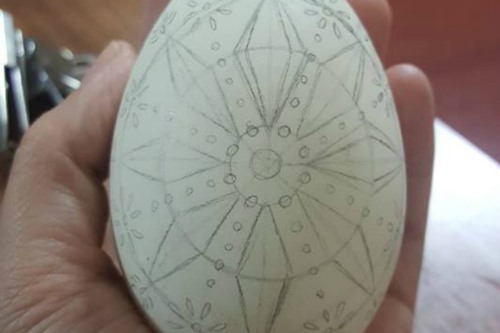 Phát hiện văn tự trên vỏ trứng 60.000 năm trước