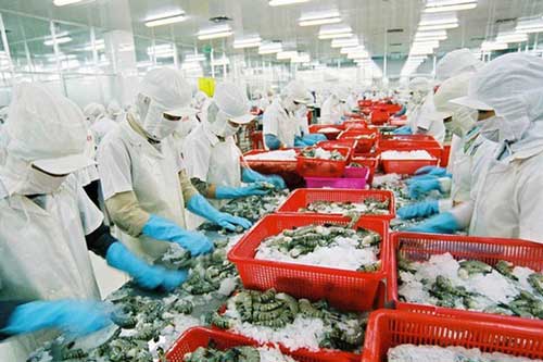 Thủy sản dự báo thất thu vì Covid-19