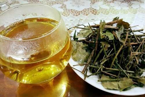 Uống một cốc nước lá vối giúp cơ thể nhận về những thay đổi kì diệu
