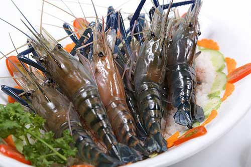 Thêm 1 bước này khi bảo quản giúp tôm tươi ngon, giữ nguyên chất bổ dưỡng