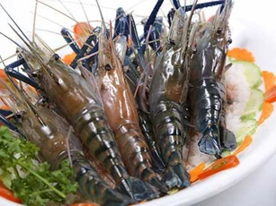 Thêm 1 bước này khi bảo quản giúp tôm tươi ngon, giữ nguyên chất bổ dưỡng