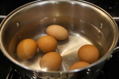 Thấy vợ thường xuyên đổ nước luộc trứng vào chậu cây cảnh, chồng tò mò lại gần và phát hiện điều bất ngờ