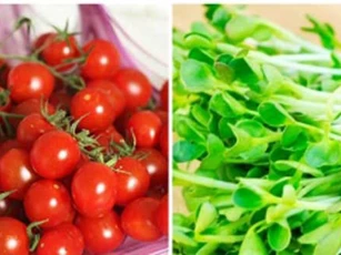 6 thực phẩm không nên ăn sống nếu không muốn ngộ độc nghiêm trọng