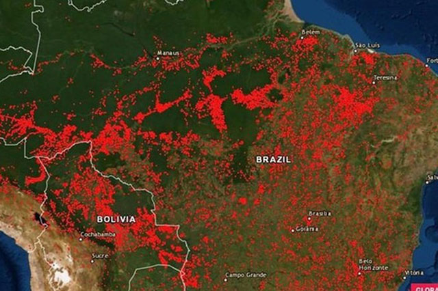 Rừng Amazon có nguy cơ bị xóa sổ?