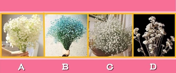 Bạn chọn bó hoa nào?