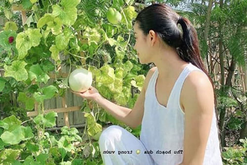 Phạm Hương lộ body tăng cân thấy rõ, dung mạo lại xinh đẹp bội phần