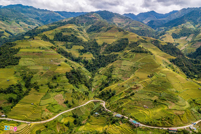 Ngắm mùa lúa chín ở Mù Cang Chải