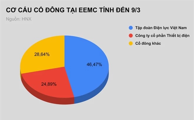 EVN thoai von 13, 1 trieu co phan tai Thiet bi dien Dong Anh anh 1