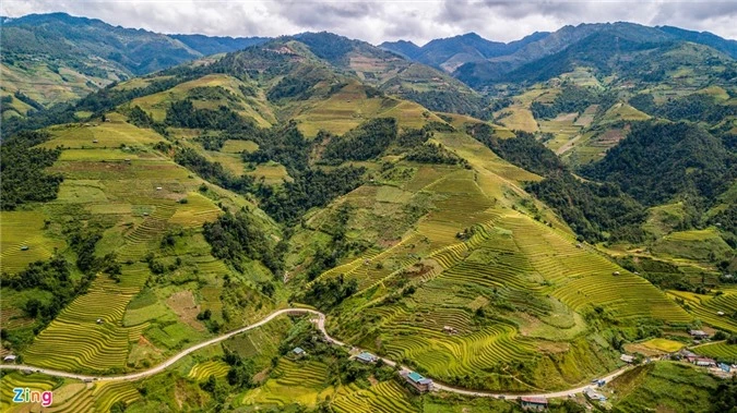 Ruong bac thang Mu Cang Chai mua lua chin anh 2