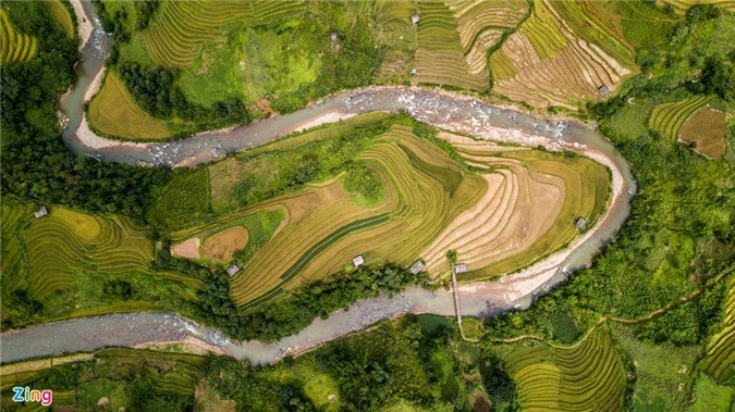 Ruong bac thang Mu Cang Chai mua lua chin anh 5