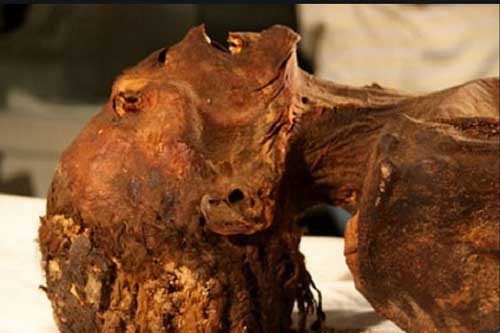 Vén màn bí ẩn xác ướp "công chúa gào thét" trong mộ cổ Ai Cập 3000 năm tuổi