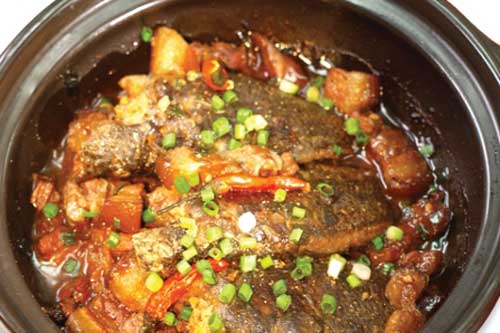 Bài thuốc dân gian từ cá rô đồng siêu hữu hiệu cho sức khỏe