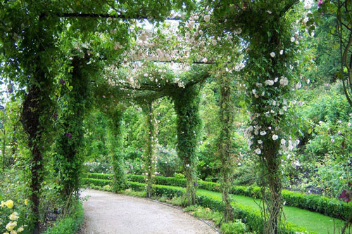 Bí ẩn lạnh người về khu vườn động vào bất cứ thứ gì cũng 'chết ngay' lập tức