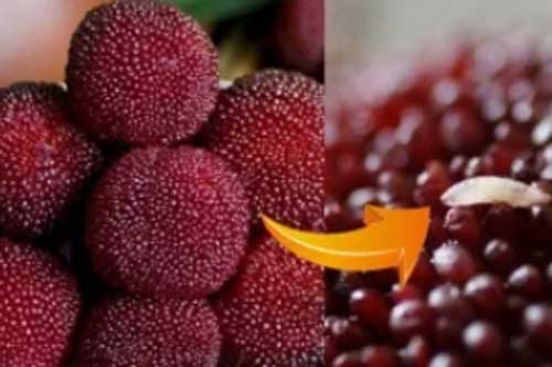 5 loại trái cây chứa nhiều ký sinh trùng, không rửa sạch trước khi ăn là "rước họa"