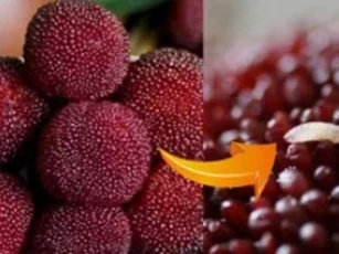 5 loại trái cây chứa nhiều ký sinh trùng, không rửa sạch trước khi ăn là "rước họa"