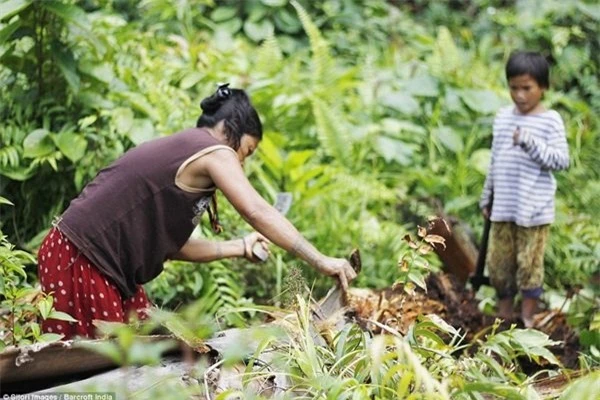 Mô tả ảnh.