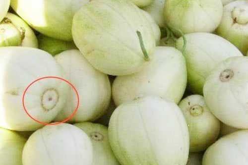 Tuyệt chiêu chọn dưa lê ngon, ngọt lịm ai cũng mê