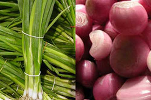 Khỏi bệnh tiểu đường, cao huyết áp với bó "thảo dược" rẻ tiền bếp nhà ai cũng có