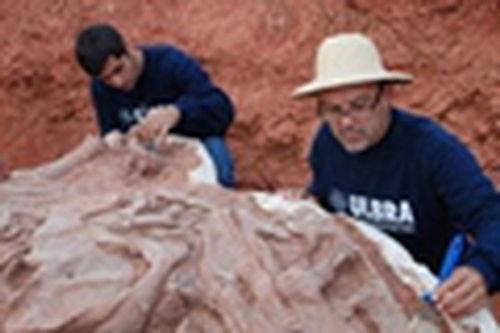 Bí ẩn hóa thạch động vật ăn thịt hoàn chỉnh