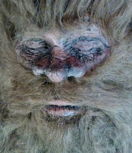 Xuất hiện bằng chứng mới về quái thú Bigfoot