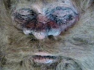 Xuất hiện bằng chứng mới về quái thú Bigfoot