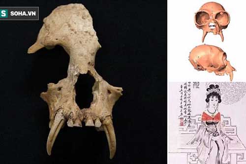 Tiết lộ bất ngờ về 'sinh vật lạ' bên trong lăng mộ bà nội Tần Thủy Hoàng