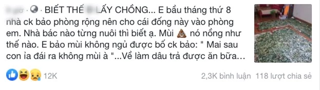 Con dâu mang bầu đến tháng thứ 8 nhưng bị “đặt nhờ” mấy nong tằm trong phòng ngủ, câu nói của bố chồng khiến người ta bức xúc vô cùng - Ảnh 1.