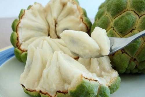 Siêu lợi ích từ quả na bạn không ngờ tới