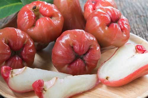 Ngăn ngừa ung thư vú với loại quả rẻ tiền không phải ai cũng biết