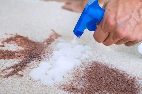 Mẹo vệ sinh thảm trải sàn không cần máy hút bụi, nhanh gọn cho người lười