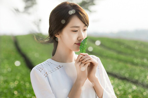 Chỉ tốn 10 ngàn mua lá chè xanh dùng, da ngày một sáng mịn, thâm mụn cũng bay sạch